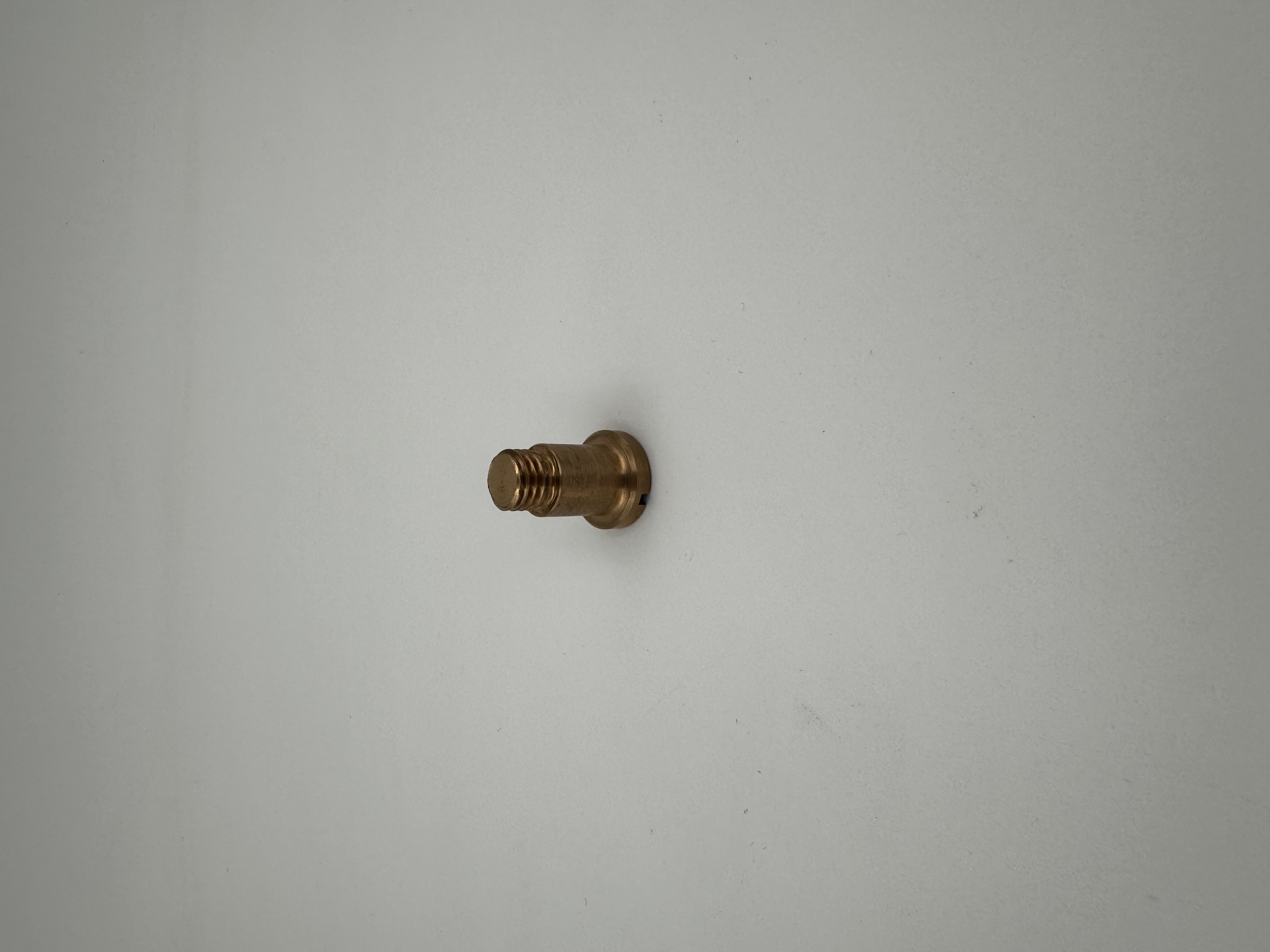 Schlüter Haltebolzen 17x12fxM10x23